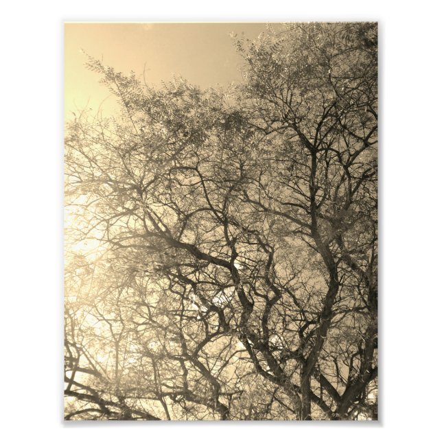 Photo Enlargement Fototryck (Framsidan)