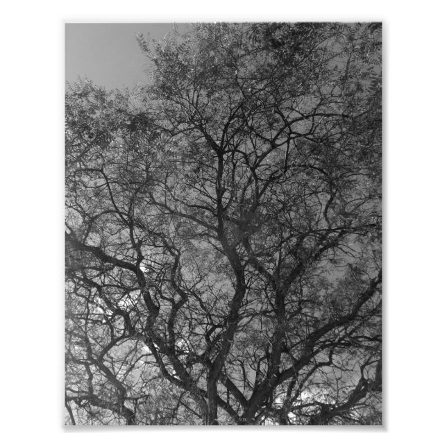 Photo Enlargement Fototryck (Framsidan)