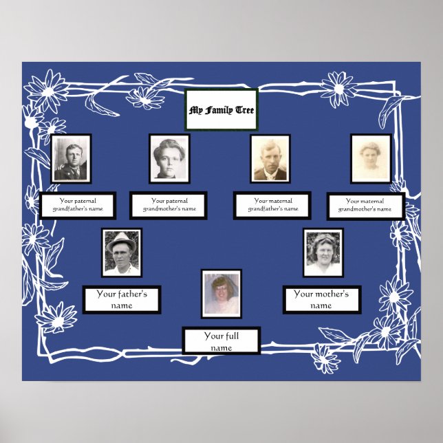 Photo Family Träd Daisy Art Gräns på Blue Poster (Framsidan)