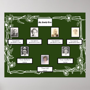 Photo Family Träd Daisy Art Gräns på Grönt Poster