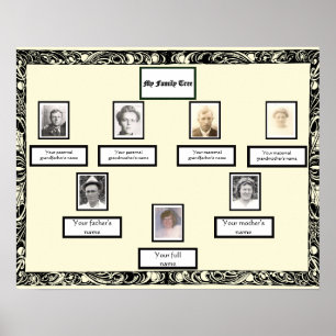 Photo Family Träd Vintage Swirl Gräns på Cream Poster