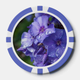 photo fleur violet poker marker