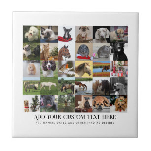 PHOTO GIFTS-MALLATES FAMILY FRIENDS PETS ANPASSNIN KAKELPLATTA