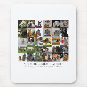 PHOTO GIFTS-MALLATES FAMILY FRIENDS PETS ANPASSNIN MUSMATTA