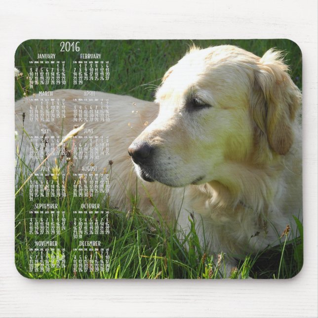 Photo Golden Retriever Calendar 2016 Mus mattor Musmatta (Framsidan)