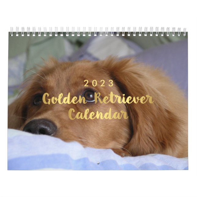 Photo Golden Retriever Calendar 2023 Kalender (Omslag)