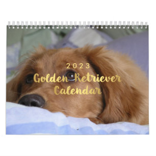 Photo Golden Retriever Calendar 2023 Kalender