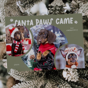 Photo Helgdag Card för Grönten Santa Tassar Hund Julkort