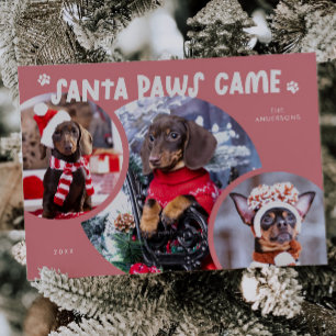 Photo Helgdag Card för Rosa i Santa Tassar Hund Julkort