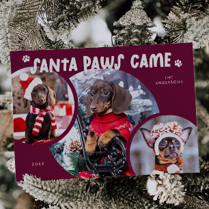 Photo Helgdag Card för tomten i Hund Cranberry Tas Julkort