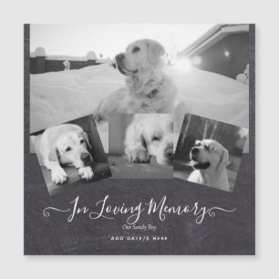 PHOTO Hund Memorial Gift- Pet Loss Keepsakus Colla