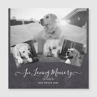 PHOTO Hund Memorial Gift- Pet Loss Keepsakus Colla