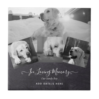 PHOTO Hund Memorial Gift- Pet Loss Keepsakus Colla Kakelplatta