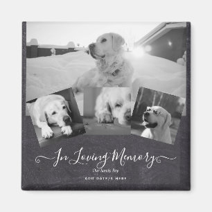 PHOTO Hund Memorial Gift- Pet Loss Keepsakus Colla Magnet