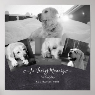 PHOTO Hund Memorial Gift- Pet Loss Keepsakus Colla Poster