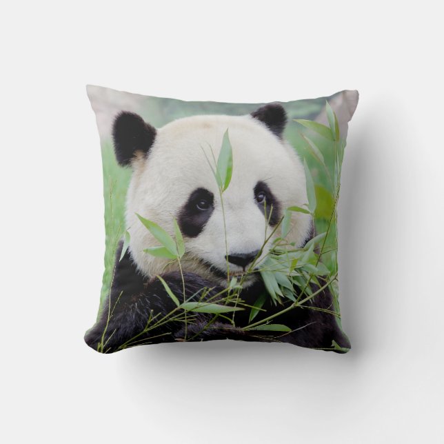 Photo jätte panda, djur 0318. kudde (Framsida)