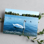 Photo Kensignton Gardens royalet Park LONDON UK Vykort<br><div class="desc">Vacker vit svan som simmar i runddammen i Kensington Gardens Royal Park London UK - fotografiskt vykort - Sept 2019 - foto av Anka</div>