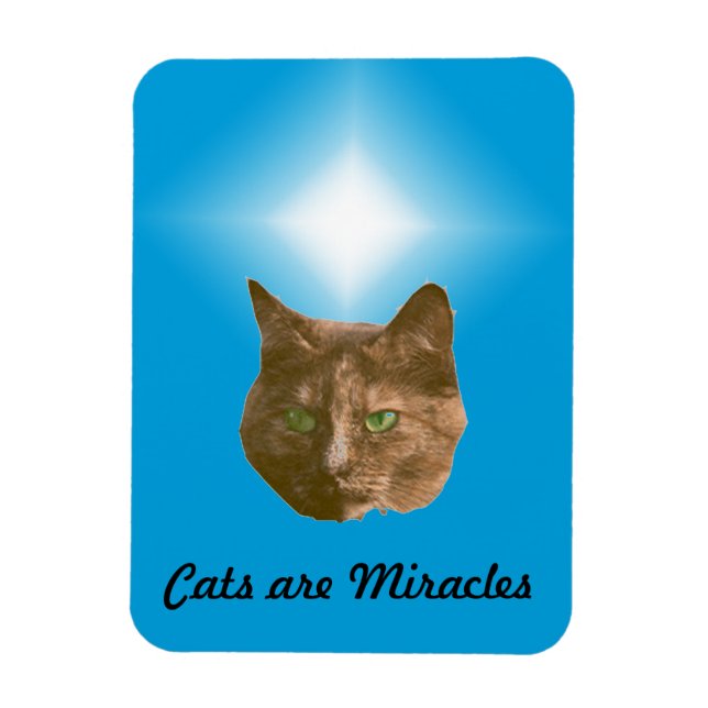 Photo Magnet - Katter är Miracles (Vertikal)