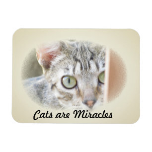 Photo Magnet - Katter är Miracles v.2