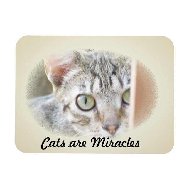 Photo Magnet - Katter är Miracles v.2 (Horisontell)