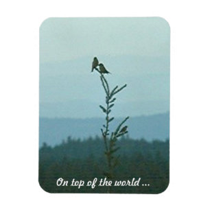 Photo Magnet - ovanpå världen ...