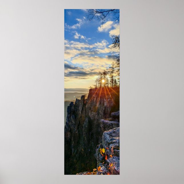 photo of a mountainous autumn forest, mountains, p poster (Framsidan)