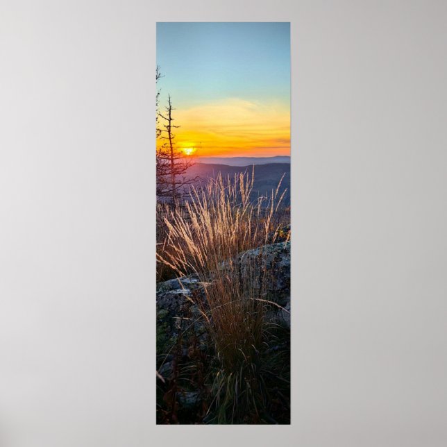 photo of a mountainous autumn forest, mountains, p poster (Framsidan)