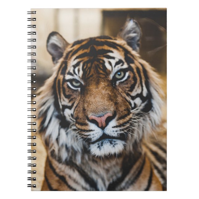 PHOTO OF TIGER'S ANSIKTE ANTECKNINGSBOK (Framsidan)
