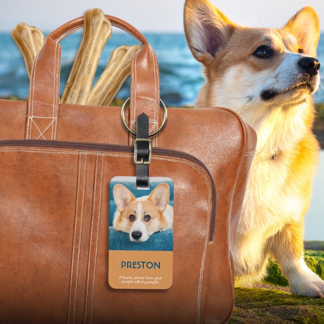 Photo Pet Carrier Märkre Bagagebricka (Skapare uppladdad)