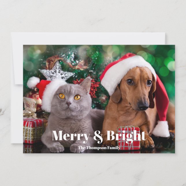 Photo Pet Merry och Bright Julkort (Framsida)