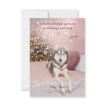 Photo Pet Sophisticated jul Party