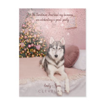 Photo Pet Sophisticated jul Party