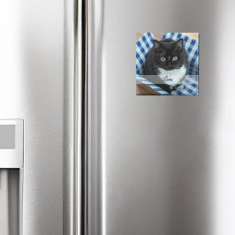 Photo Pet Sticker med Namn Magnet
