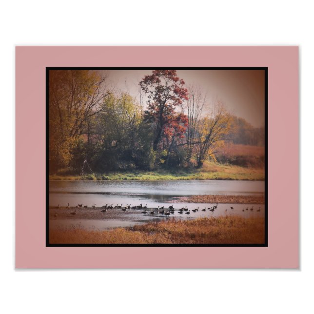 Photo Print 11x14 Canada Geese in Autumn Fototryck (Framsidan)