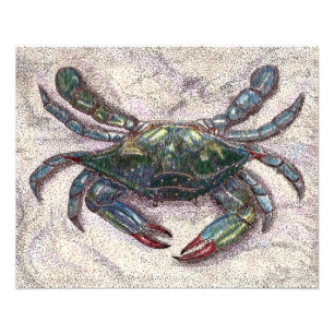 Photo Print för Chesapeake Bay Blue Crab Fototryck
