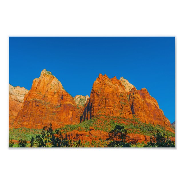 Photo Print för Zion National Park Fototryck (Framsidan)