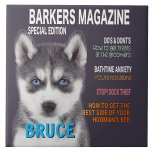 Photo Print i Siberian husky Parody Magazine Cover Kakelplatta