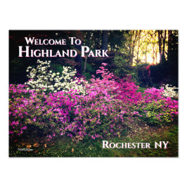 Photo Print- Välkommen till Highland Park Rocheste Fototryck