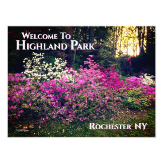 Photo Print- Välkommen till Highland Park Rocheste Fototryck