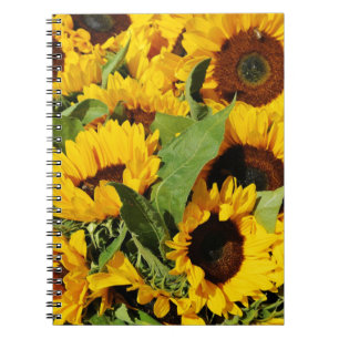 Photo Spiral Notebook Gult Solblommor Anteckningsbok Med Spiral