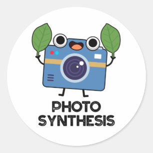 Photo Syntesis Cute Camera Pun Runt Klistermärke