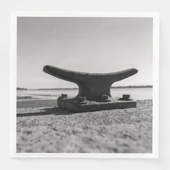 photo thème marin, noir et blanc pappersservett (Framsida)