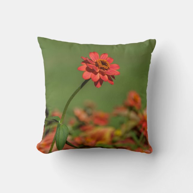 photo une fleur rouge. kudde (Framsida)