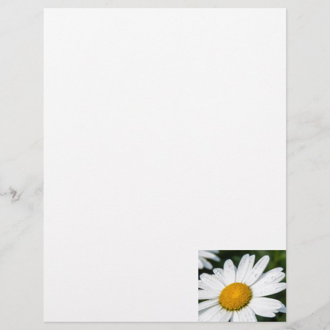 photo, une margueritte, font vert (Framsida)