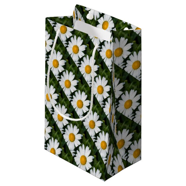 photo, une margueritte, font vert (Framsidan Vinklad)