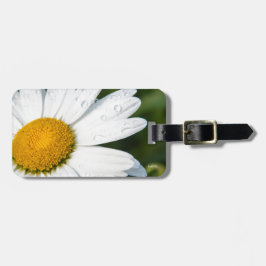 photo, une margueritte, font vert bagagebricka