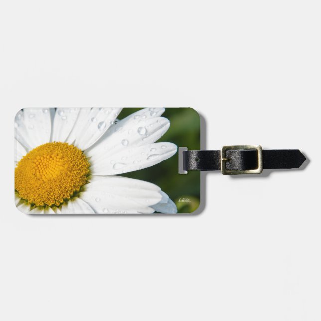 photo, une margueritte, font vert bagagebricka (Horisontell Framsida)