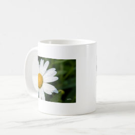 photo, une margueritte, font vert kaffemugg