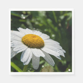photo, une margueritte, font vert pappersservett