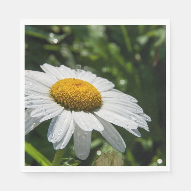 photo, une margueritte, font vert pappersservett (Framsidan)